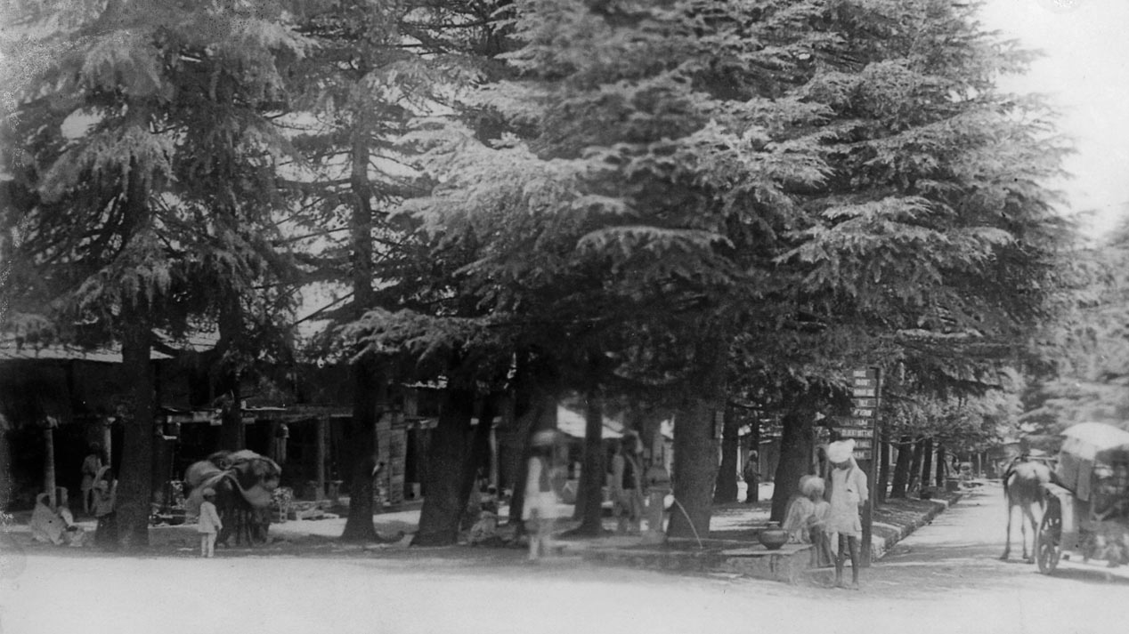 Reimagining Dharamshala Tibet Museum